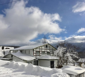 First Tracks At Cortina / Norikura